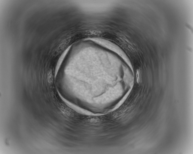 X0000094781395200712071154