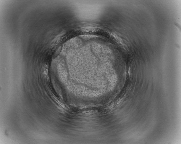 X0000094781396200712071154