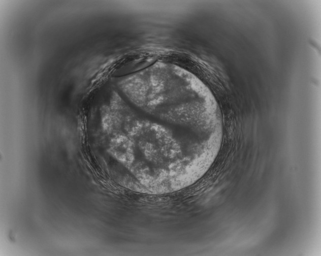 X0000094781397200712071154