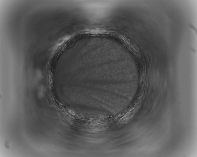 X0000094781398200712071154