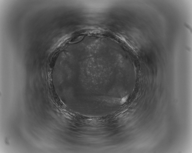 X0000094781399200712071154