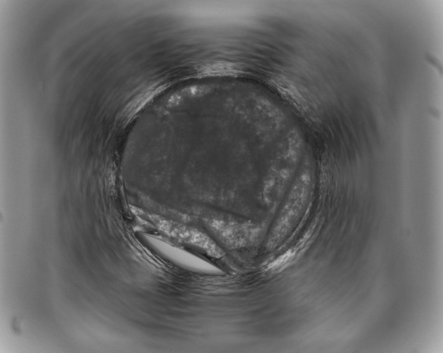 X0000094781401200712071154