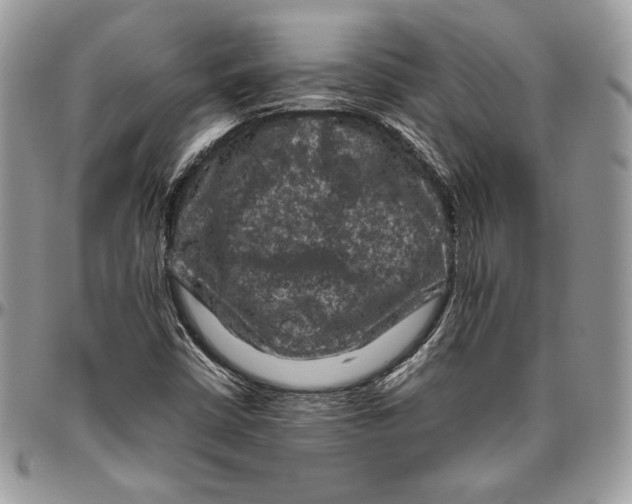 X0000094781402200712071154