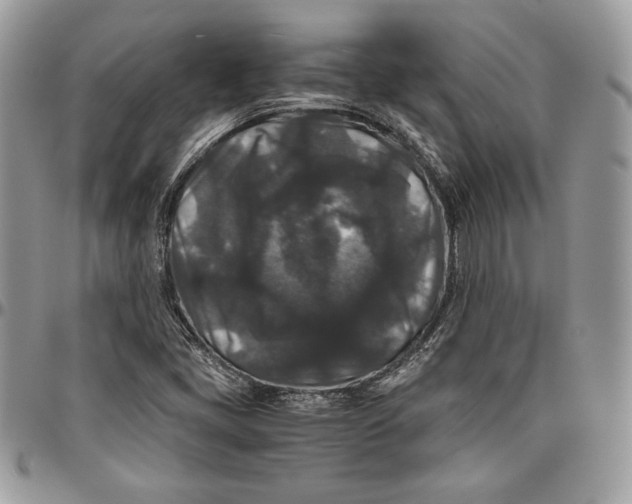 X0000094781405200712071154