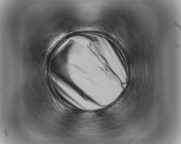 X0000094781406200712071154