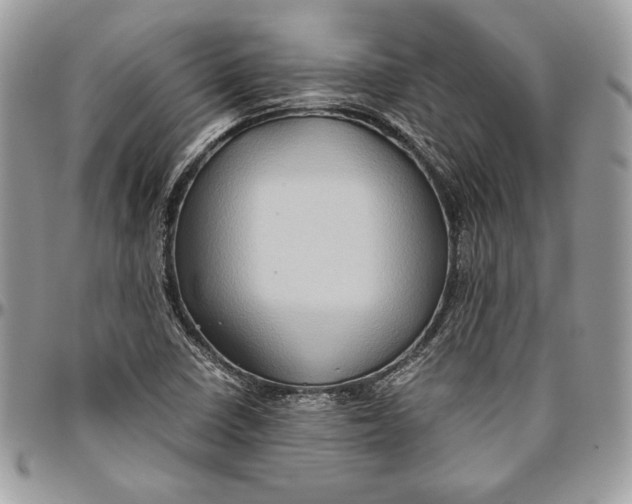 X0000094781410200712071154