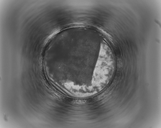 X0000094781411200712071154