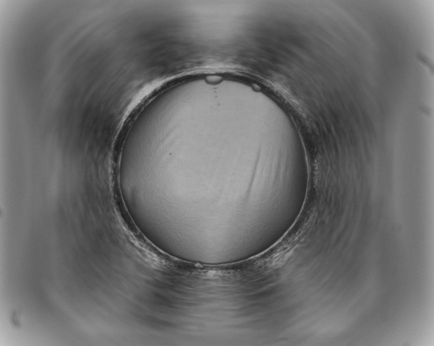 X0000094781412200712071154