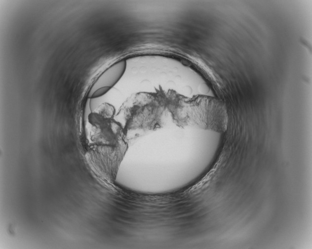 X0000094781413200712071154