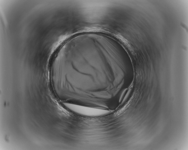 X0000094781414200712071154