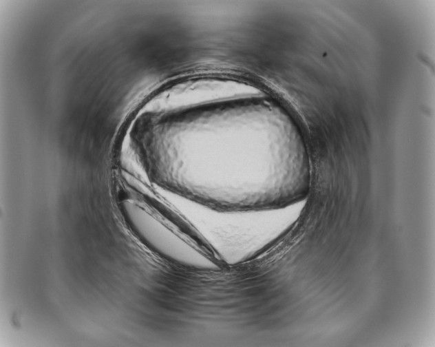 X0000094781415200712071154