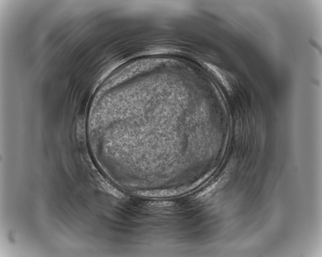 X0000094781417200712071154