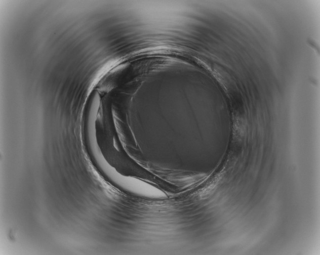 X0000094781418200712071154