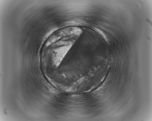 X0000094781419200712071154