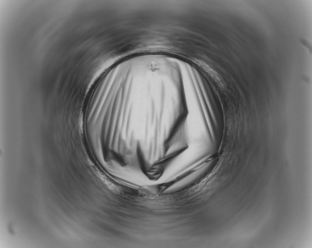 X0000094781420200712071154