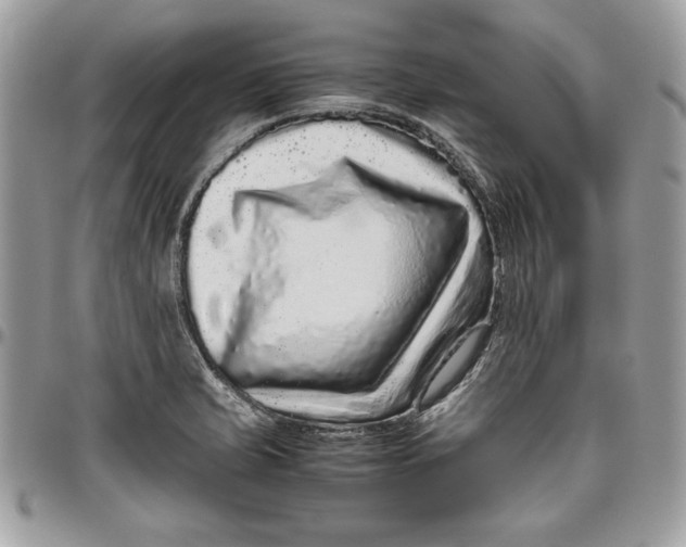 X0000094781421200712071154