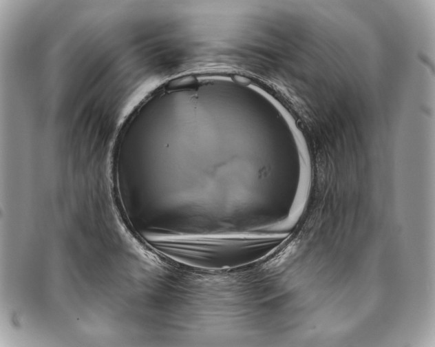 X0000094781422200712071154