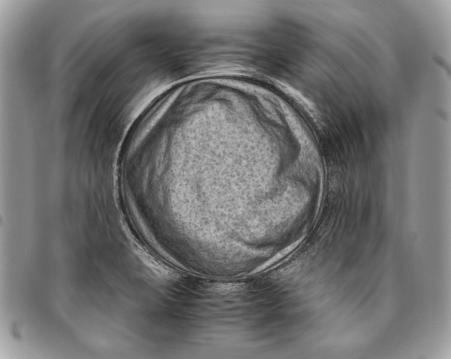 X0000094781423200712071154