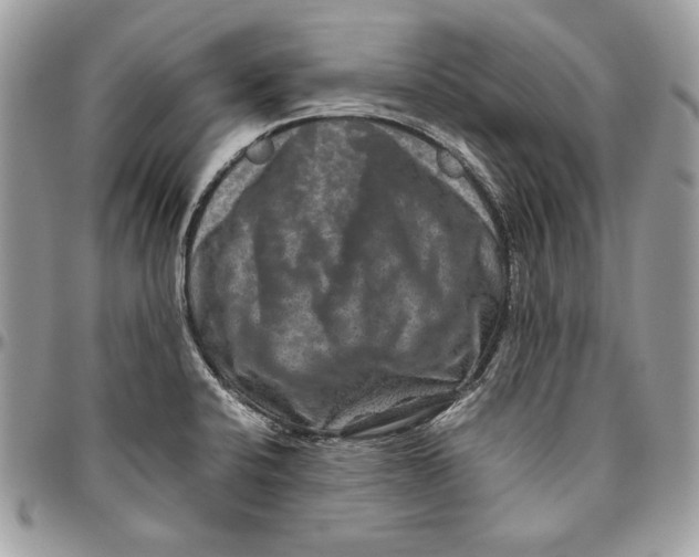 X0000094781424200712071154