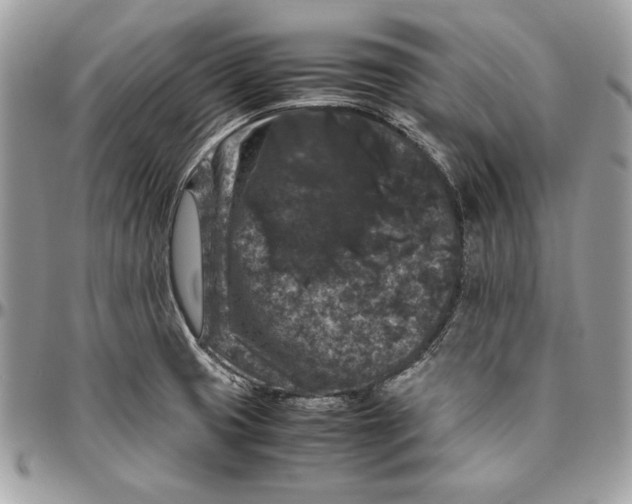 X0000094781425200712071154