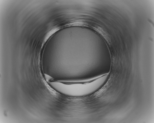 X0000094781426200712071154