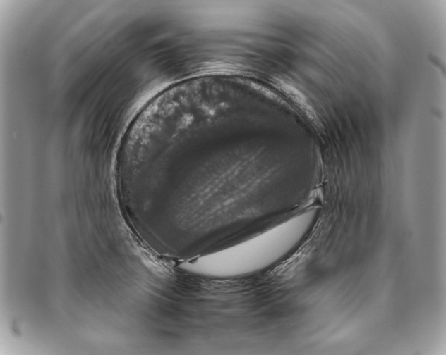 X0000094781427200712071154