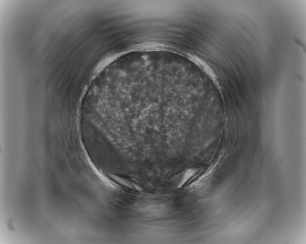 X0000094781429200712071154