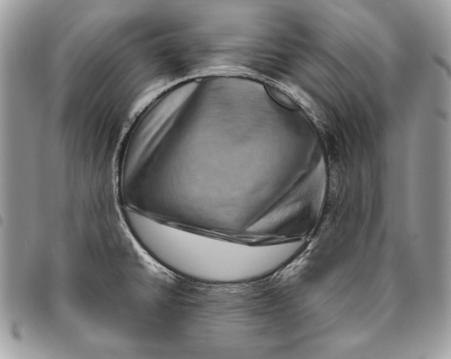 X0000094781430200712071154