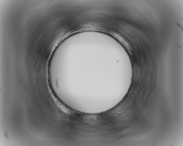 X0000094781431200712071154