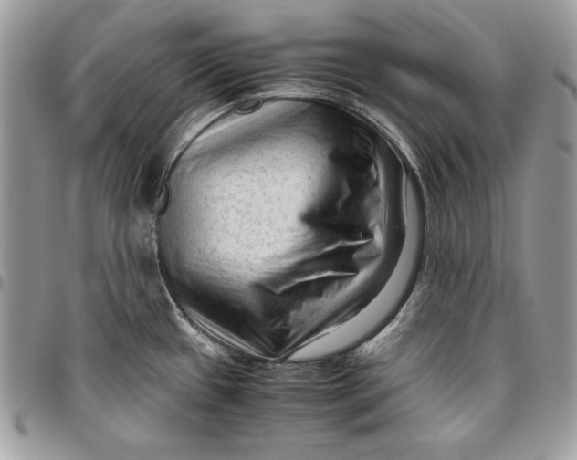 X0000094781433200712071154