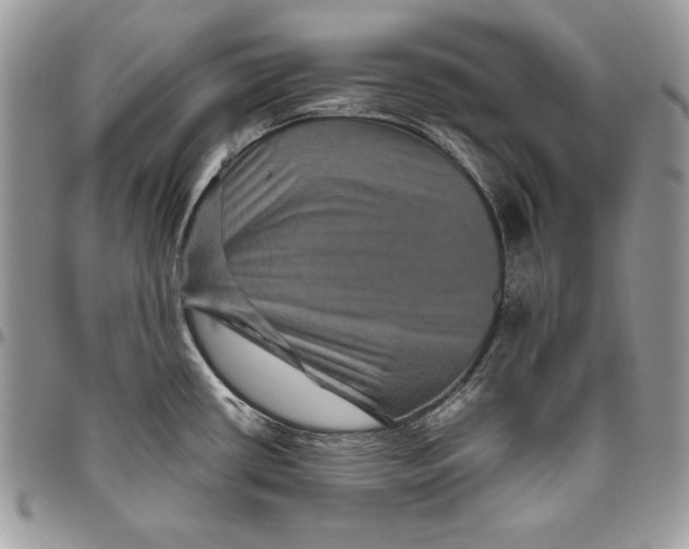 X0000094781434200712071154