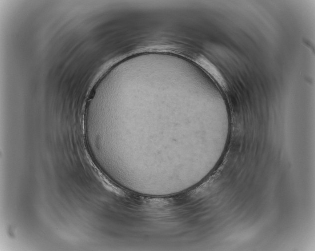 X0000094781436200712071154