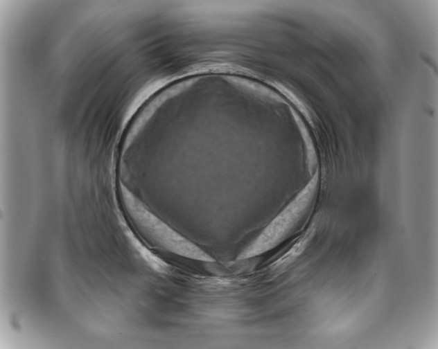 X0000094781438200712071154