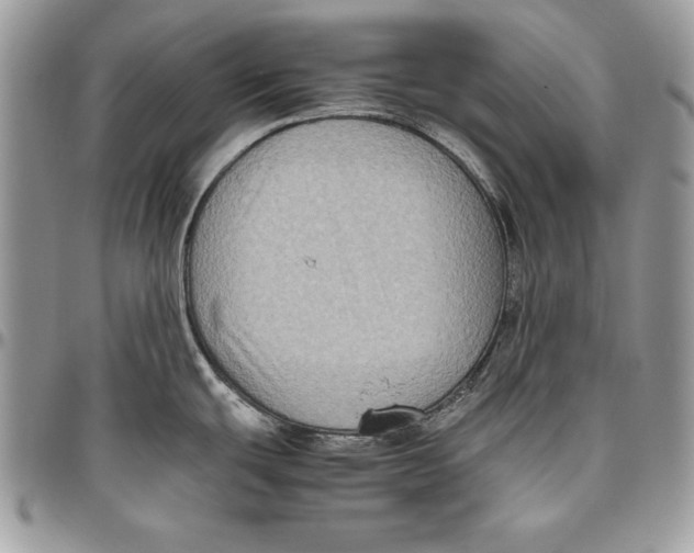 X0000094781439200712071154