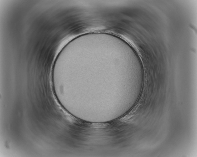 X0000094781440200712071155