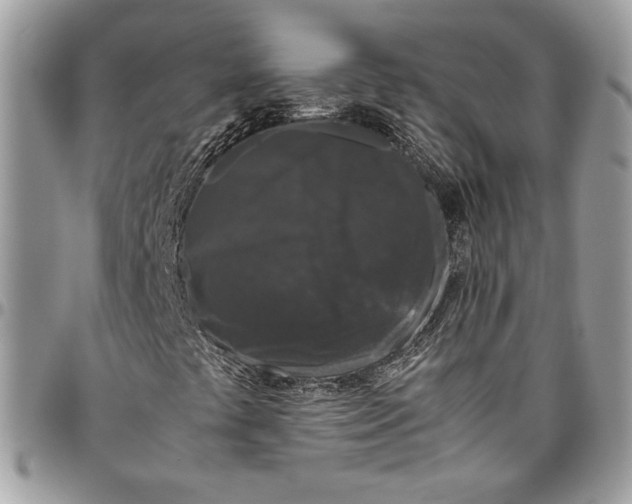 X0000094781441200712071154