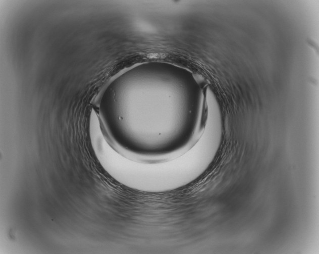 X0000094781443200712071154