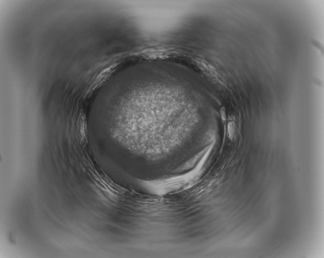 X0000094781444200712071154