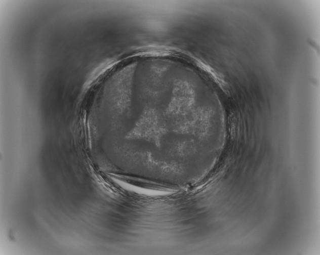 X0000094781448200712071154