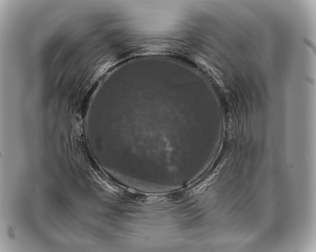 X0000094781449200712071154