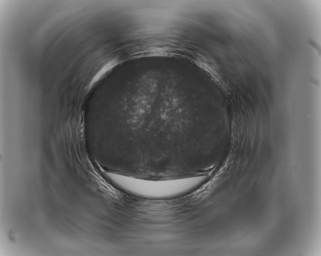 X0000094781450200712071154