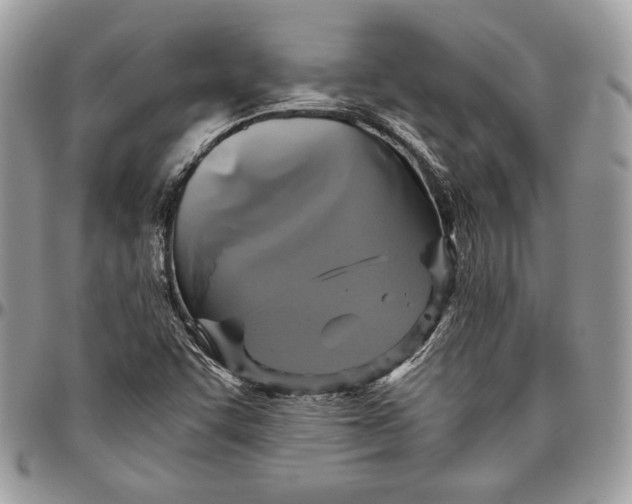 X0000094781455200712071154