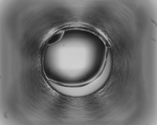 X0000094781456200712071154