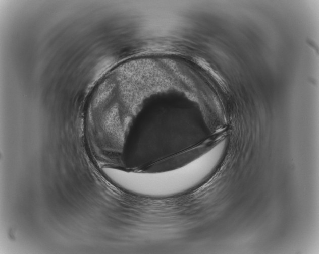 X0000094781459200712071154