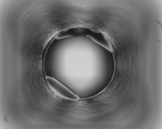 X0000094781460200712071154