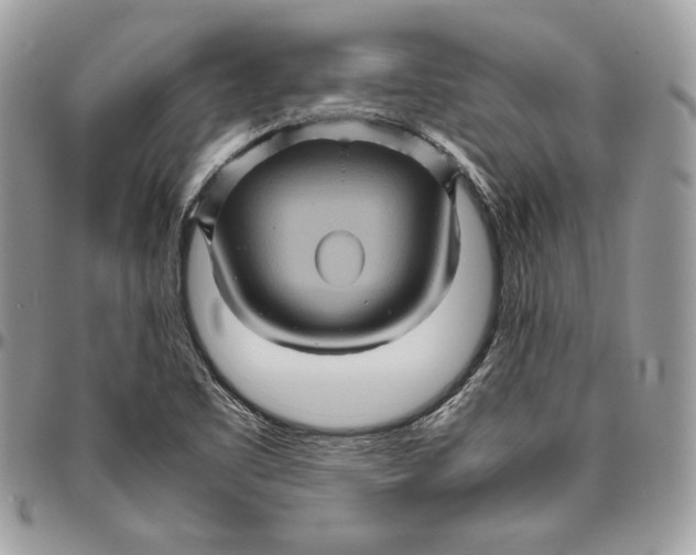 X0000094781461200712071154