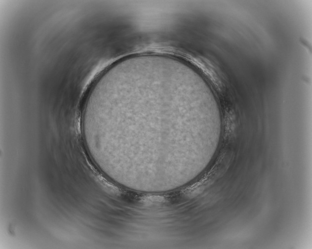 X0000094781462200712071154