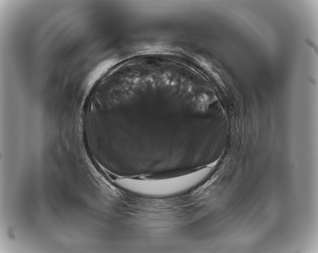 X0000094781463200712071154