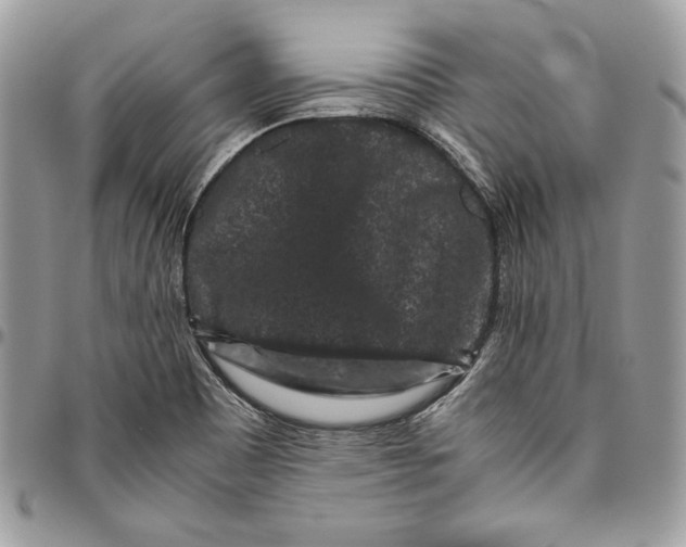 X0000094781465200712071154