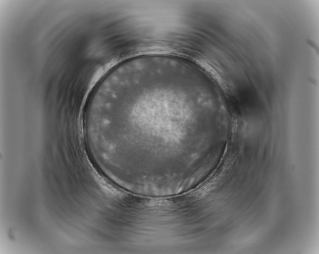 X0000094781466200712071154